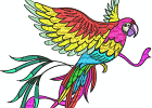Stunning Parrots 001 7inch
